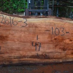 Goby Walnut Oregon Redwood Slab 052616-03
