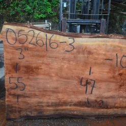 Goby Walnut Oregon Redwood Slab 052616-03