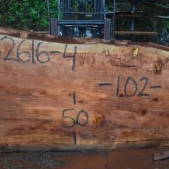 Goby Walnut Green Slabs Oregon Redwood Slab 052616-04