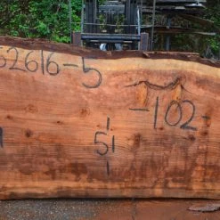 Goby Walnut Green Slabs Oregon Redwood Slab 052616-05