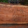 Goby Walnut Oregon Redwood Slab 052616-06 Green Slabs