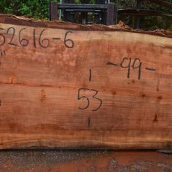 Goby Walnut Oregon Redwood Slab 052616-06 Green Slabs