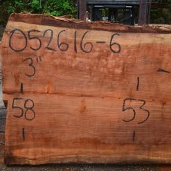 Goby Walnut Oregon Redwood Slab 052616-06 Green Slabs