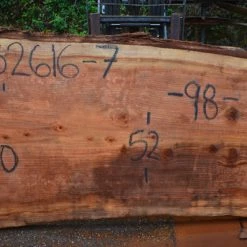 Goby Walnut Oregon Redwood Slab 052616-07 Green Slabs