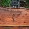 Goby Walnut Oregon Redwood Slab 052616-09 Green Slabs
