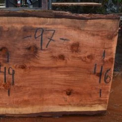 Goby Walnut Oregon Redwood Slab 052616-09 Green Slabs