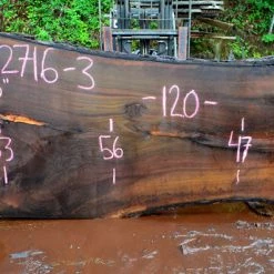 Goby Walnut Green Slabs Oregon Black Walnut Slab 052716-03