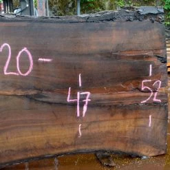 Goby Walnut Green Slabs Oregon Black Walnut Slab 052716-03
