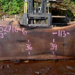 Goby Walnut Green Slabs Oregon Black Walnut Slab 052716-06