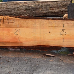 Goby Walnut Products 052719-01 Oregon Fir Slab Green Slabs