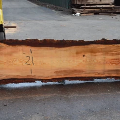 Goby Walnut Products 052719-01 Oregon Fir Slab Green Slabs