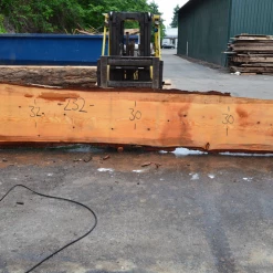 Goby Walnut Products 052719-02 Oregon Fir Slab Green Slabs