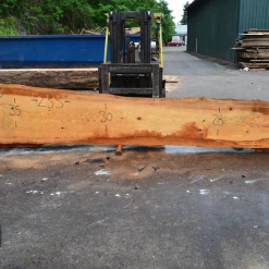 Goby Walnut Products Green Slabs 052719-03 Oregon Fir Slab