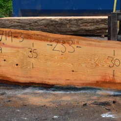 Goby Walnut Products Green Slabs 052719-03 Oregon Fir Slab