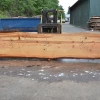 Goby Walnut Products Green Slabs 052719-06 Oregon Fir Slab