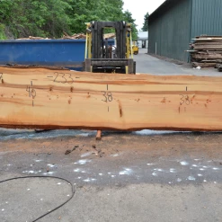 Goby Walnut Products 052719-07 Oregon Fir Slab