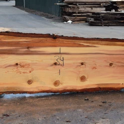 Goby Walnut Products Green Slabs 052819-02 Oregon Fir Slab