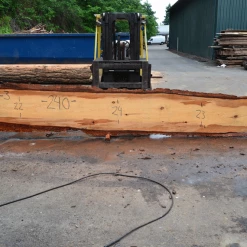 Goby Walnut Products Green Slabs 052819-03 Oregon Fir Slab