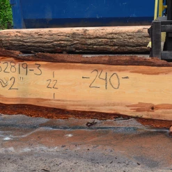 Goby Walnut Products Green Slabs 052819-03 Oregon Fir Slab