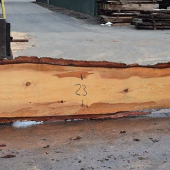 Goby Walnut Products Green Slabs 052819-03 Oregon Fir Slab