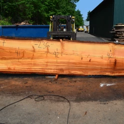 Goby Walnut Products Green Slabs 052819-07 Oregon Fir Slab