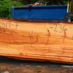 Goby Walnut Products Green Slabs 052819-07 Oregon Fir Slab