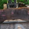 Goby Walnut Oregon Black Walnut Slab 052914-01 Green Slabs