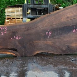 Goby Walnut Oregon Black Walnut Slab 052914-03