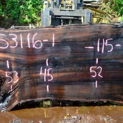 Goby Walnut Oregon Black Walnut Slab 053116-01 Green Slabs