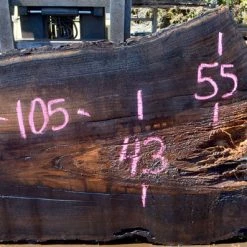 Goby Walnut Oregon Black Walnut Slab 053116-05