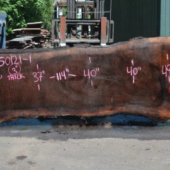 Goby Walnut Products Oregon Black Walnut Slab 060121-01 Green Slabs