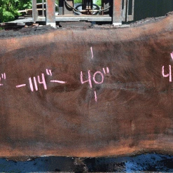 Goby Walnut Products Oregon Black Walnut Slab 060121-01 Green Slabs