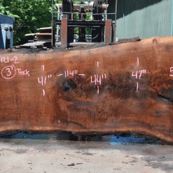 Goby Walnut Products Oregon Black Walnut Slab 060121-02