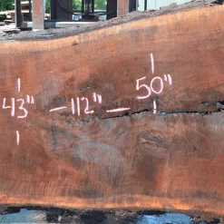 Goby Walnut Products Green Slabs Oregon Black Walnut Slab 060121-03