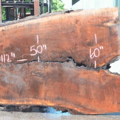 Goby Walnut Products Green Slabs Oregon Black Walnut Slab 060121-03