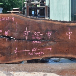 Goby Walnut Products Green Slabs Oregon Black Walnut Slab 060121-04