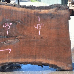 Goby Walnut Products Green Slabs Oregon Black Walnut Slab 060121-04