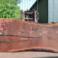 Goby Walnut Products Green Slabs Oregon Black Walnut Slab 060121-05