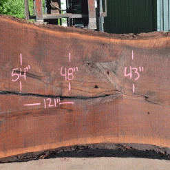 Goby Walnut Products Green Slabs Oregon Black Walnut Slab 060121-05