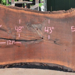 Goby Walnut Products Green Slabs Oregon Black Walnut Slab 060121-05