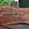 Goby Walnut Products Oregon Black Walnut Slab 060121-06