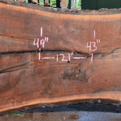 Goby Walnut Products Oregon Black Walnut Slab 060121-06