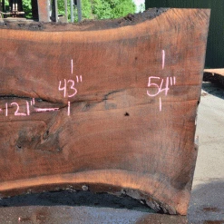 Goby Walnut Products Oregon Black Walnut Slab 060121-06