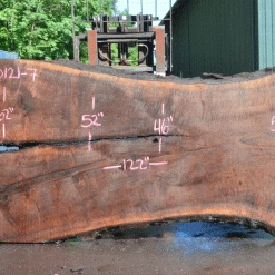 Goby Walnut Products Green Slabs Oregon Black Walnut Slab 060121-07