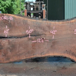 Goby Walnut Products Oregon Black Walnut Slab 060121-08 Green Slabs