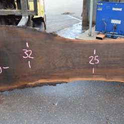 Goby Walnut Products Oregon Black Walnut Slab 060220-01 Green Slabs