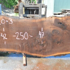Goby Walnut Products Green Slabs Oregon Black Walnut Slab 060220-03