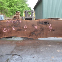 Goby Walnut Products Green Slabs Oregon Black Walnut Slab 060220-06
