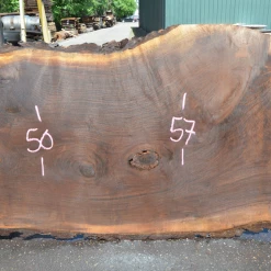 Goby Walnut Products Oregon Black Walnut Slab 060220-10