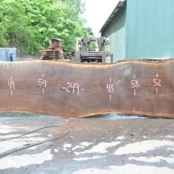 Goby Walnut Products Oregon Black Walnut Slab 060220-11 Green Slabs